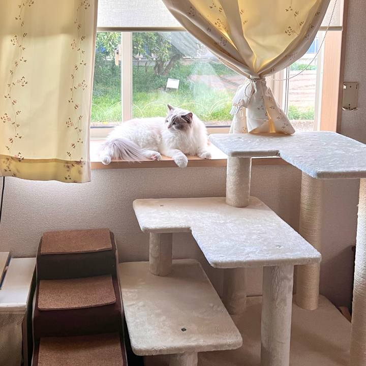 4a69700e 3a8c 4f9f a904 ea4deec29137 1722332559836