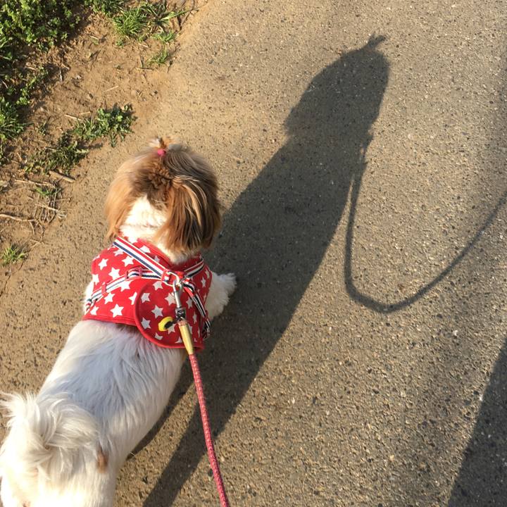 4a697b9c a353 491e add3 9d34f8f151d0 1522481893935