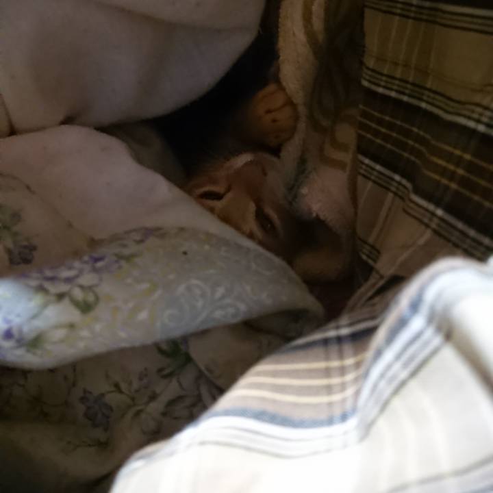 4a698b3f 99d3 4d0c b151 03dc13f883e5 1631219830328