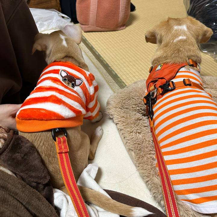 4a69cbca ca21 4ad5 816a 9cece4eb3122 1672562448310