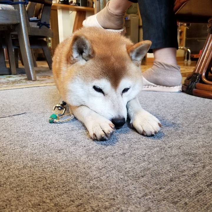 4a69f9b1 b0b7 4176 9e6d ddbd04a82518 1574034913927