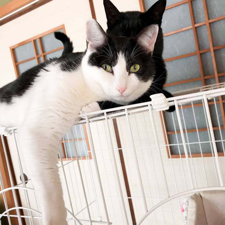 4a6a00c5 b3e2 4cd4 b5f0 47822d65be0d 1519262302918