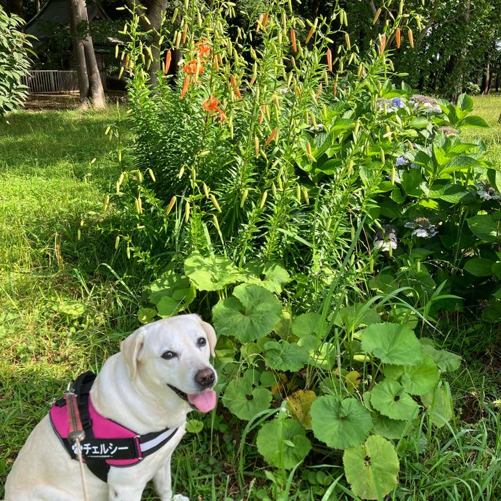 4a6a6fa6 351a 4641 8297 bf0b05627024 1688261220250