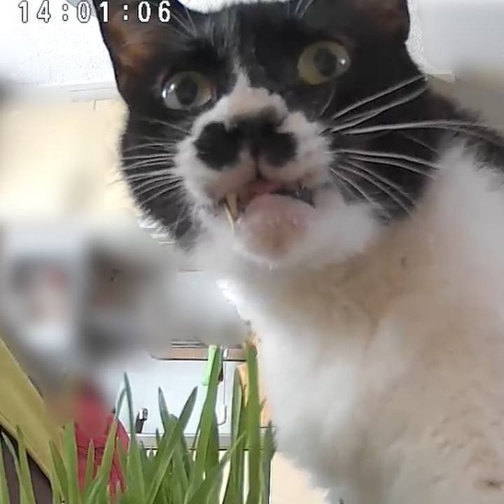 4a6acd0e 6f2a 4ead 812a 6d548b81034b 1719724309597