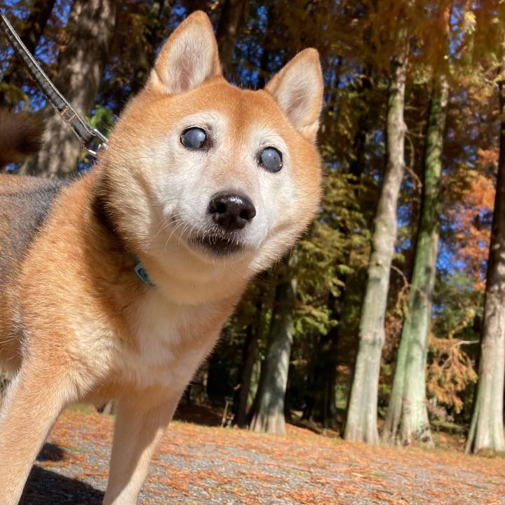 4a6ba371 152e 4d60 ad4c a05254701fa2 1700279852632