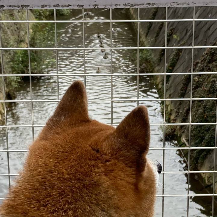 4a6bac08 2b5e 42fe 8572 7bf26d1621c6 1696728744555