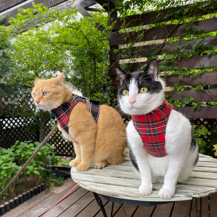 4a6be147 c96c 4963 b894 4c3745cdc73f 1634006615609