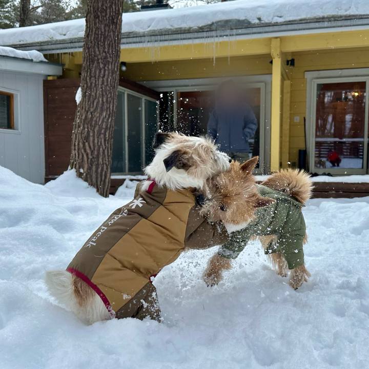 4a6c2c73 7323 4df0 989f d59d63fb2e9a 1738418030135