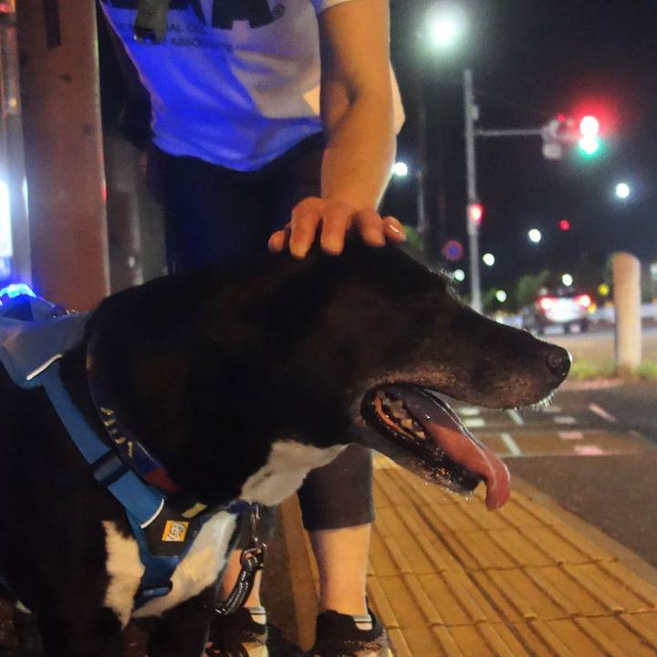 4a6c4418 50a8 4868 897a 51a119bd0ef7 1694948150708