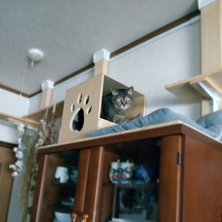 4a6c56eb 30f9 466d 8394 a80acb35defa 1557116522561