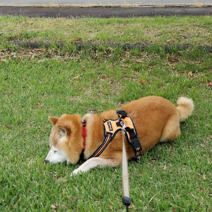 4a6c7a29 7c46 4068 9ea1 bb211478aa7a 1715841401814