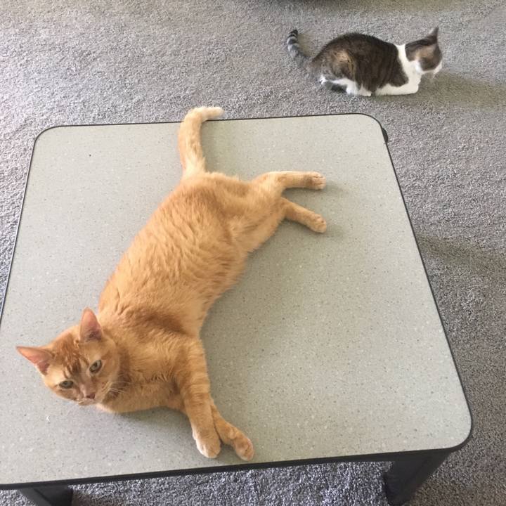 4a6c8554 5266 46f5 aebb b1b058d4eab1 1656715532927