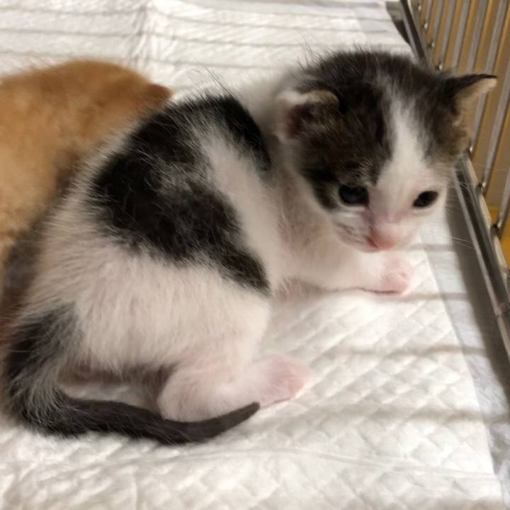 4a6d1ca7 61ed 45d1 b011 b625a8ee8f7e 1619525925881