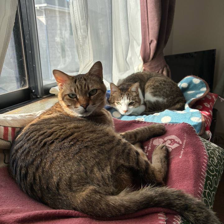 4a6d24a1 0139 4078 ac78 8043696e382d 1761269723102