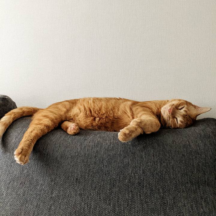 4a6d48e3 3cd6 406c 9f5c 00bfa513617e 1662781040550