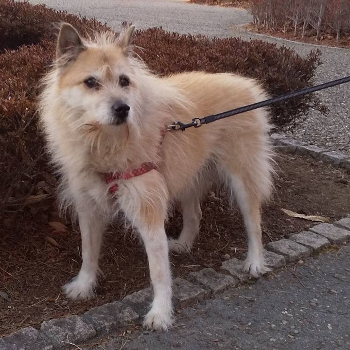 4a6d4d03 771e 4a64 a232 d53812ad6bd9 1547872211560