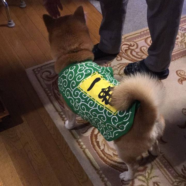 4a6d7325 6afc 49ad 993c 20ec80dd7257 1584693185591