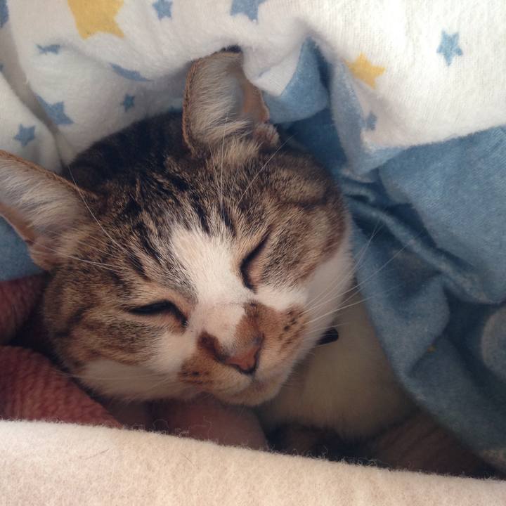 4a6d9021 574a 4bd5 98f1 4266deec0f63 1522450750167