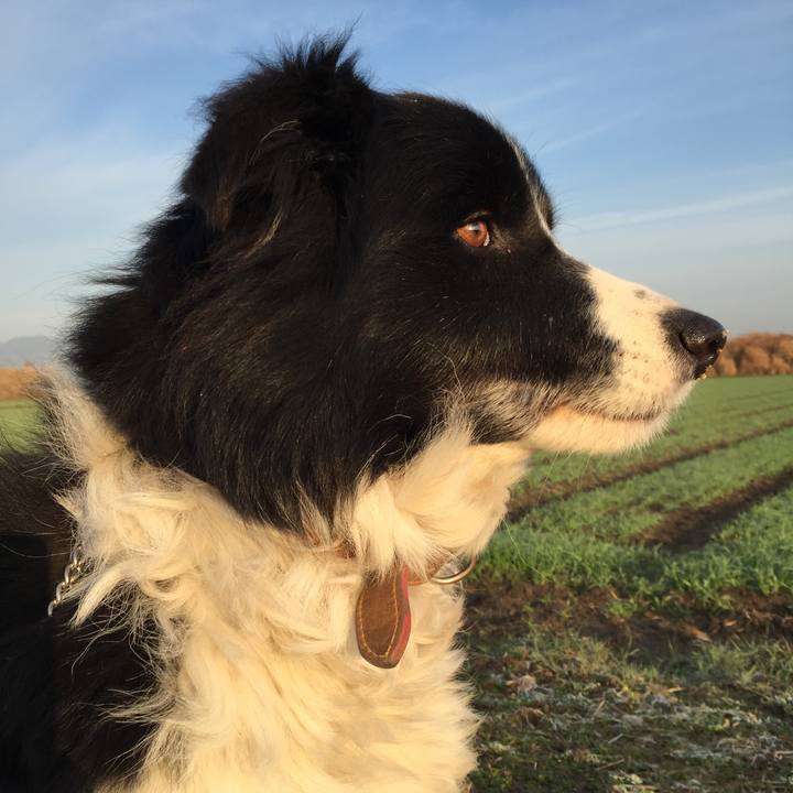 4a6db360 a75a 462d 8a05 a89f2f764896 1519943646693