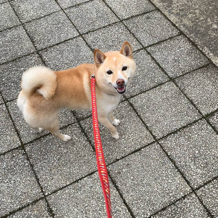 4a6df85c 02ed 4578 9c86 fd47b14dc189 1647827870903