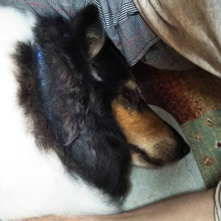 4a6e0e65 3063 42b1 8ad5 ce5050537612 1591105365428