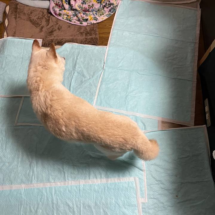 4a6e494f dcdb 4ddf 9199 5410597d8761 1635693667872