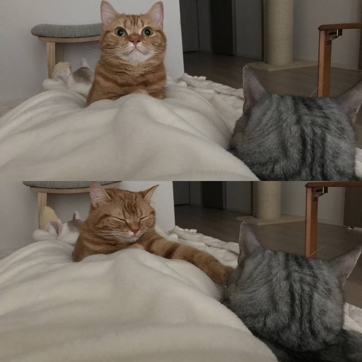 4a6e49cb f46b 4f9f 8116 041870eed3fc 1527796735137