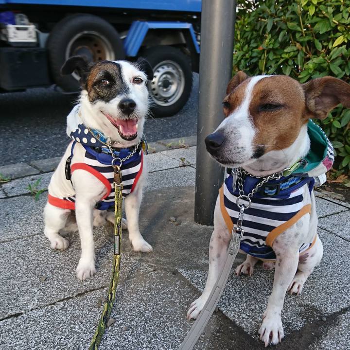 4a6e74b4 6248 4d11 afa2 d7b06408ee69 1569362287023