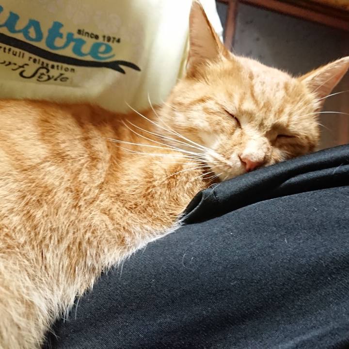 4a6ebe97 5cf2 4242 9dc2 1c591b25a47b 1602155975792