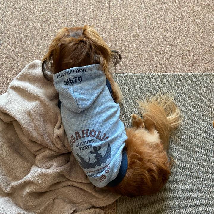 4a6ed374 ec49 4ef6 8941 cf4a408f0b07 1643237869105