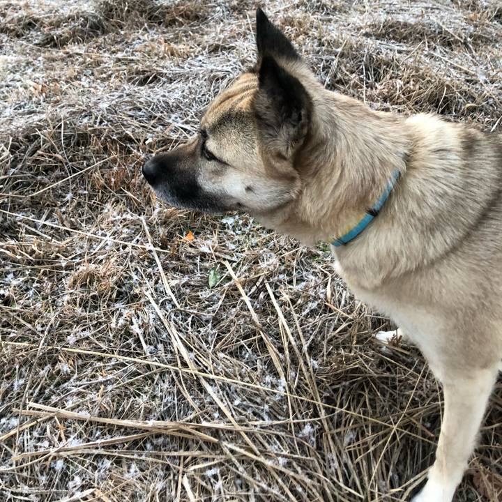 4a6eddbf 2e03 4360 8359 ae45943d733e 1610971730915