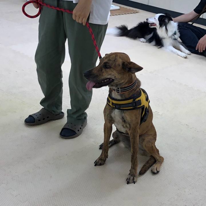 4a6eee7e 8dc6 40a9 809c fcacbad466ad 1624666044491