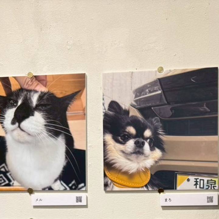 4a6f543a 5eca 4390 9461 12363e74d1d3 1766803093514