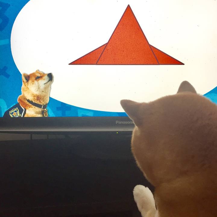 4a6f96dd 13e1 4602 87b2 1a0dcf832e47 1623554208960