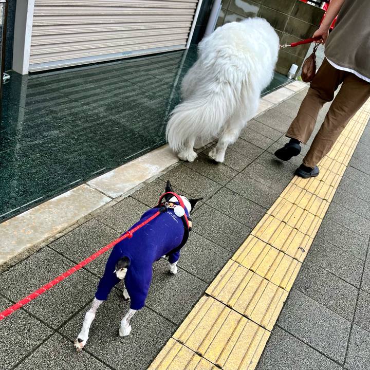 4a6fa7f4 48f9 4717 8f81 b0d63701b83c 1652487588207