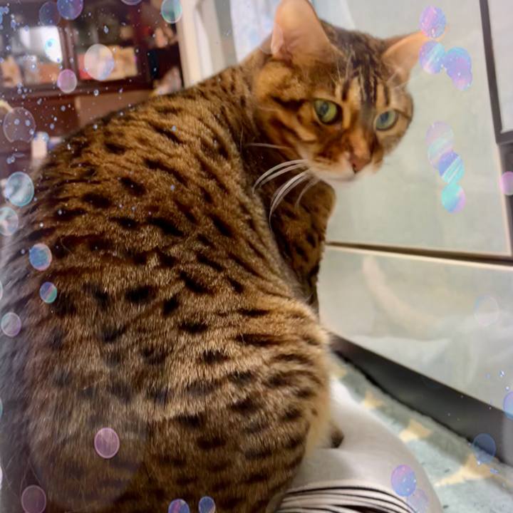 4a701463 4068 4698 9533 85c395c94bd5 1638663475267