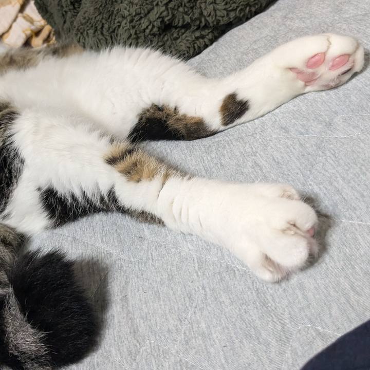 4a703bfd 81a1 4145 9d22 9c1271dfac22 1724642389196