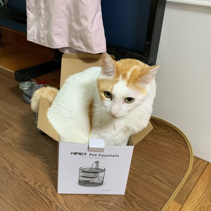 4a703ee5 5965 4395 b0c9 4aa4bafc5127 1603466090073