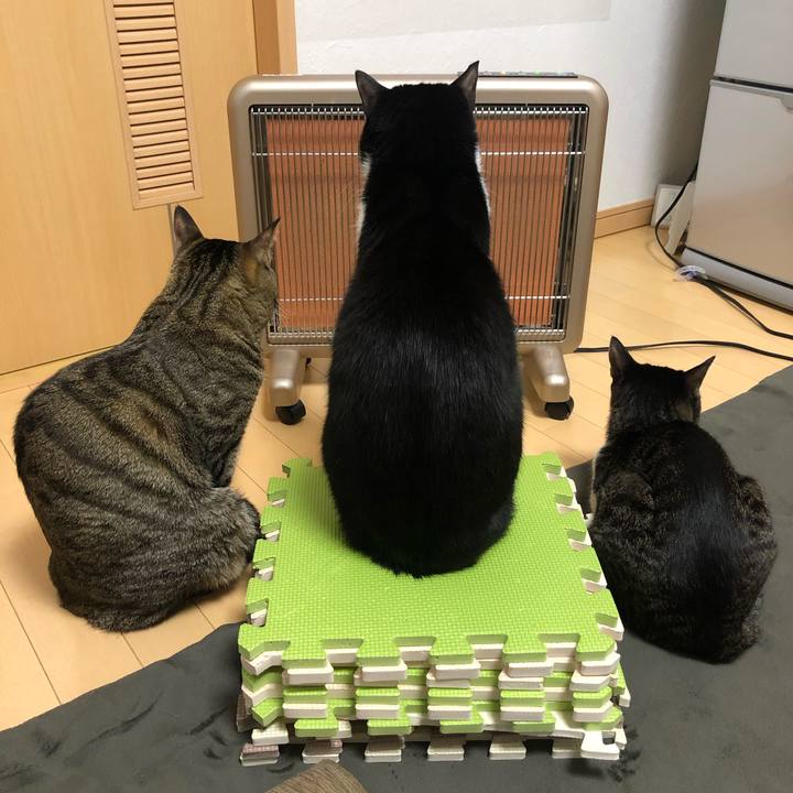 4a706499 49e0 45a1 b5b1 3c106644ffa5 1591071135438