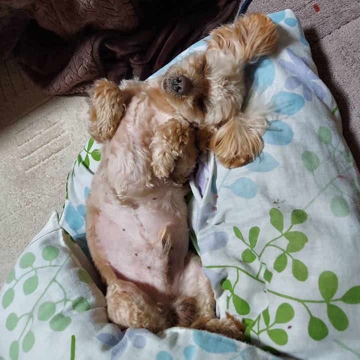 4a7084c9 5a62 4ea6 857c 2211ec54dc41 1710680078080