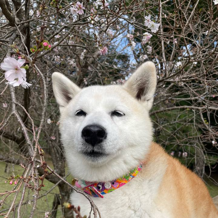 4a70a18d 8df4 46c4 9e24 21ab6d2f70ed 1666433779735