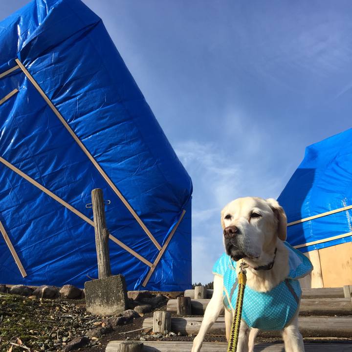 4a70bdf4 1460 40e3 9c19 bb6c9e07a21f 1544921396742