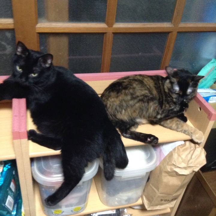 4a70cd86 a196 4d3f 82bd 00dc0da66f7f 1535067262902