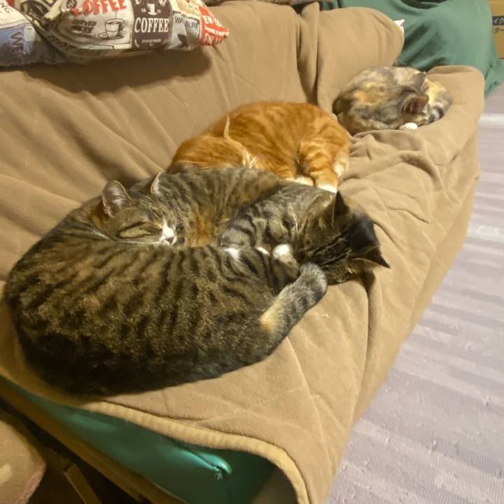 4a71567b ec2e 4341 a2e7 5fe2dcfed04d 1617106740411