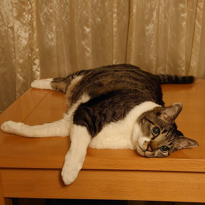 4a716753 1666 4409 9425 4780b8c2960c 1732108775538