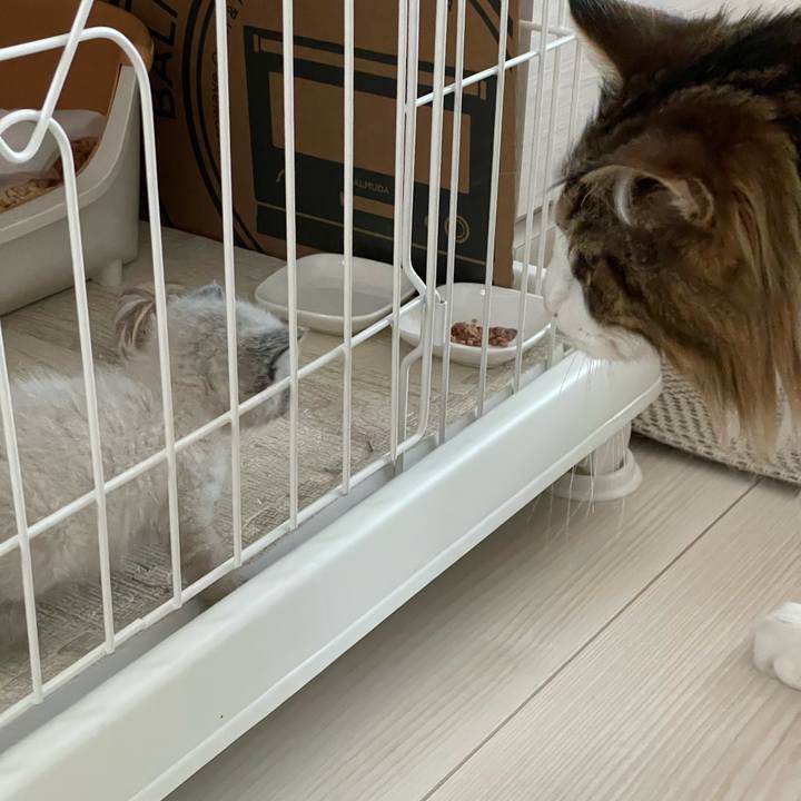 4a718056 33cc 4d5e 9ec7 aa7f02c8b8a0 1684660653290