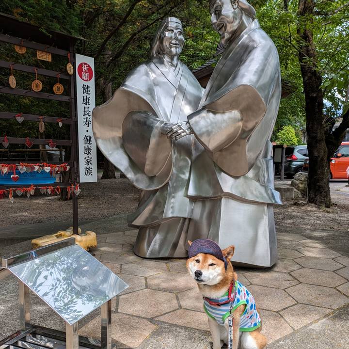 4a719c99 b602 4421 8218 aa5a1baadd6d 1716760938846