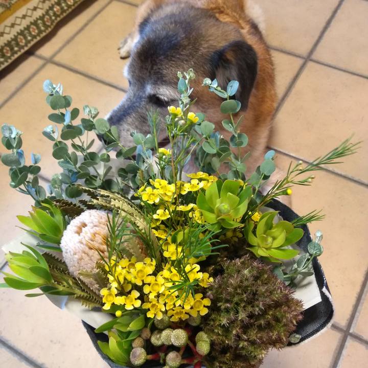 4a71c43e 9347 46db 9cc2 0f28a3e966d6 1567324360755