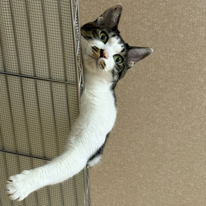 4a71c689 a762 41cf 9312 fee1a5e395e6 1758857504013