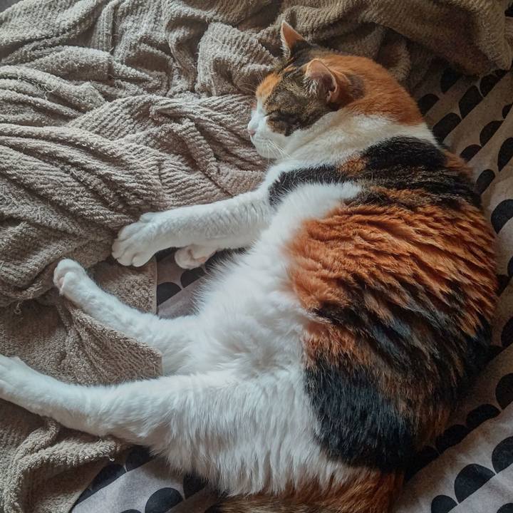 4a71dc47 f97e 406a ab4b 7bb91566b180 1630035261740